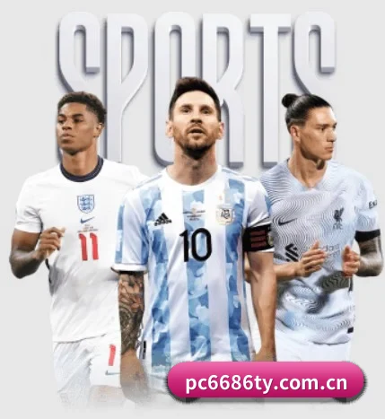 五大服务分区,信息按项目分类